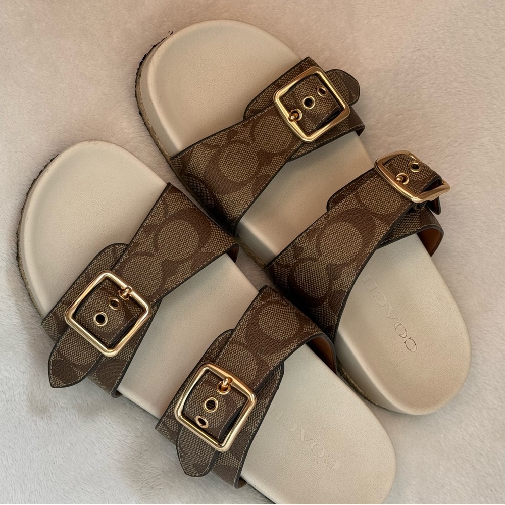 Coach Allanah Sandal In Signature Canvas